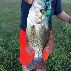 Meet your Posher, Ethan